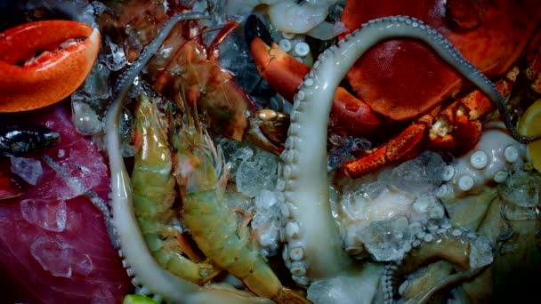 Poissons et fruits de mer frais 