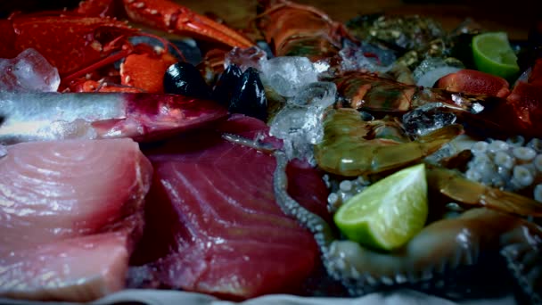 Свіжа риба та морепродукти — стокове відео