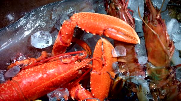 Pescado fresco y mariscos — Vídeo de stock