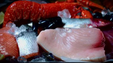 Taze balık ve deniz ürünleri.