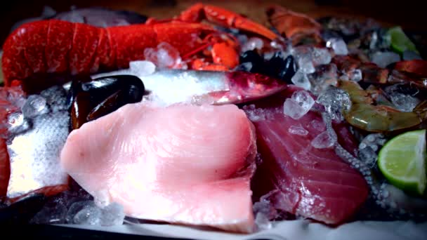 Свіжа риба та морепродукти — стокове відео