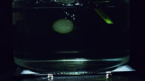 澄んだ水の果物 — ストック動画