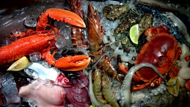 Čerstvé ryby a mořské plody — Stock video