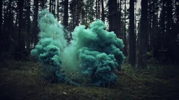 黑暗森林中的万圣节恐怖烟雾 — 图库视频影像