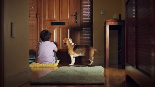 Доллі Будинку Вхідних Дверей Сумно Собака Дитини Чекає Пост — стокове відео