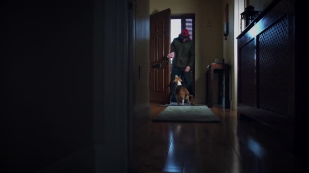 家の正面玄関は 家の所有者を待っている犬の ドリー — ストック動画