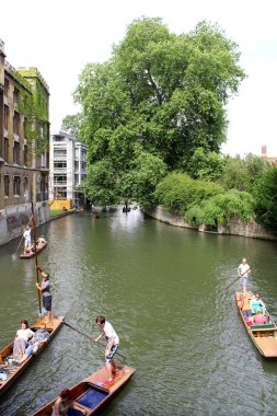 Cambridge 'de sıradan bir yaz günü 