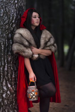 Küçük kırmızı, avcı