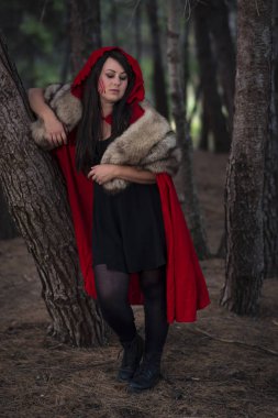 Küçük kırmızı, avcı