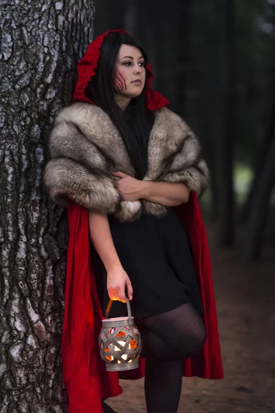 Küçük kırmızı, avcı