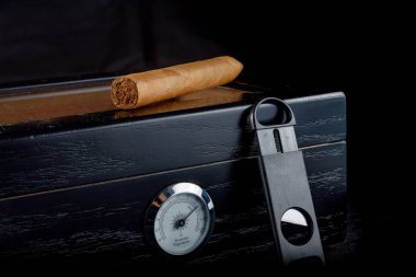 Puro bir humidor siyah bir arka plan üzerinde