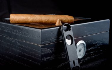 Puro bir humidor siyah bir arka plan üzerinde