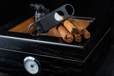 Puro bir humidor siyah bir arka plan üzerinde