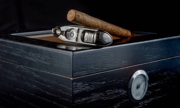 Cigars on a humidor against a black background — Stock Photo, Image