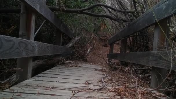Медленная Муха Над Старым Разрушенным Мостом Густом Лесу Медленная Муха — стоковое видео