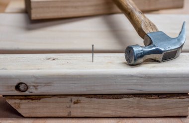 Taze kereste gelecekteki projeler için hazır