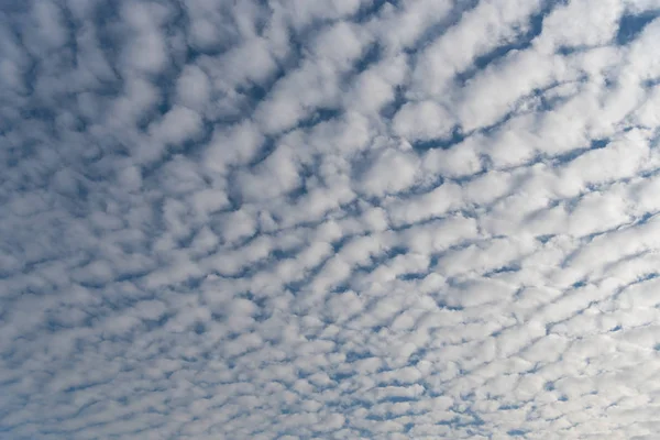 Stratocumulus Wolken Overhead Tegen Een Blauwe Hemel — Stockfoto