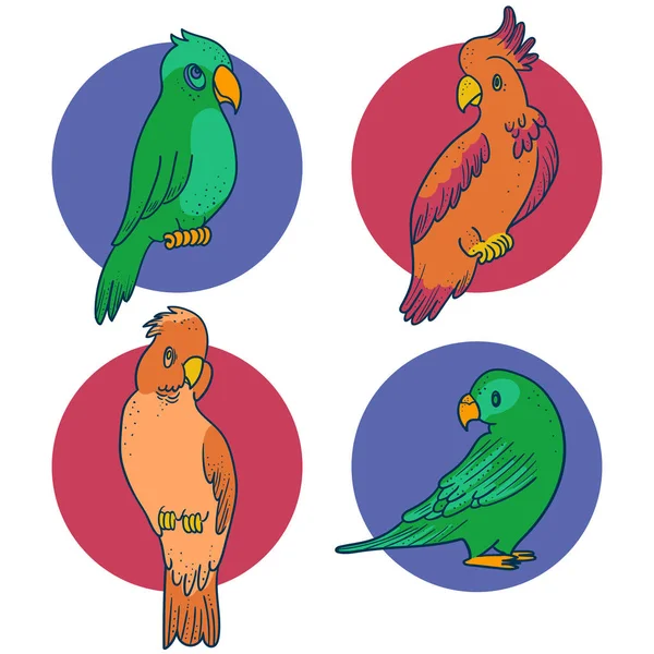Set di 4 pappagalli e Cockatoo Illustrazione — Vettoriale Stock