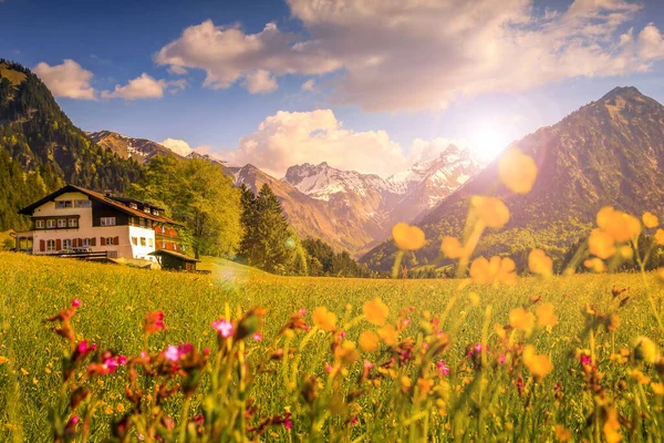 꽃 밭에 는 눈덮인 산 과해 가 지거나 일출 때 전통적 인 집 이 있으며, 렌즈 플레어가 배경을 이루고 있다. Bavaria, Algau, oberstdorf, Germany. — 스톡 사진