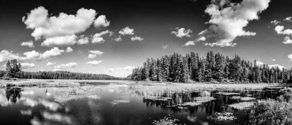Espejo monocromo reflejo del lago de las nubes y el paisaje del bosque. Ontario, Canadá . — Foto de Stock