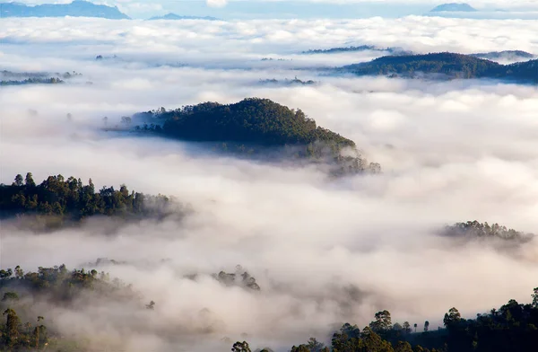 Poranna mgła w górach leśnych Zdjęcia Stockowe bez tantiem