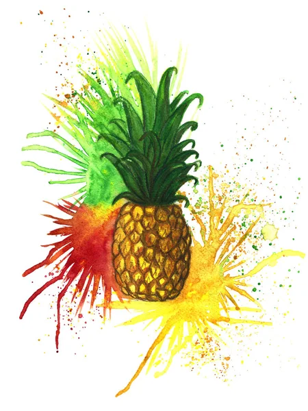 Ananas ile sulu boya spreyler — Stok fotoğraf