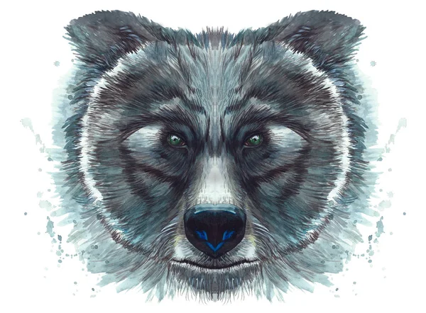 Disegno dipinto con una stampa ad acquerello ritratto di una testa d'orso — Foto Stock