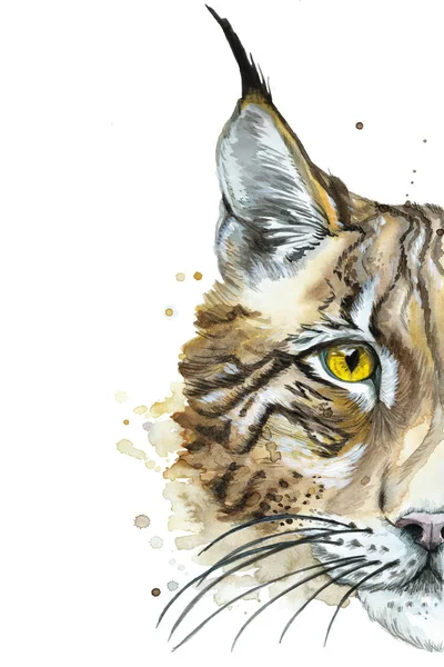 Geschilderd tekening aquarel dierlijke predator lynx — Stockfoto