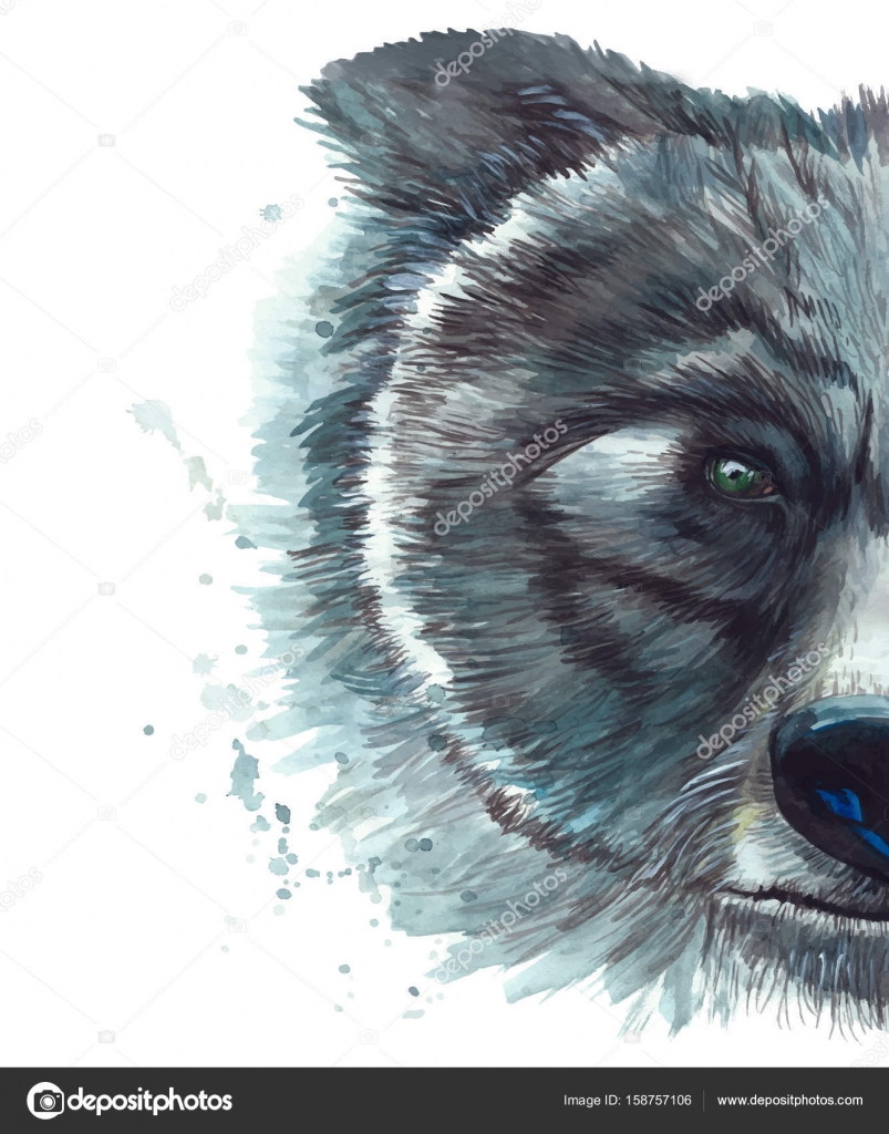 Painted drawing watercolor animal mammal bear, a dark bear Stock Vector Image by ©Zaammari #158757106 Painted drawing watercolor animal mammal bear, a dark bear Stock Vector Image by ©Zaammari #158757106