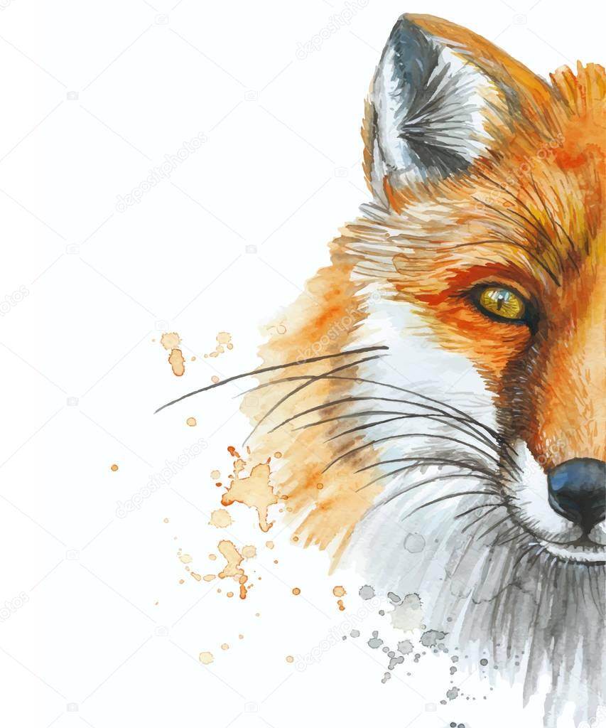 Imágenes: cara de zorro pintura | Pintar dibujo de zorro de acuarela