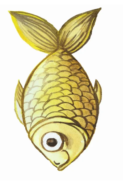 Festett akvarell rajza hal, sárga hal, aranyhal, fehér háttér — Stock Vector