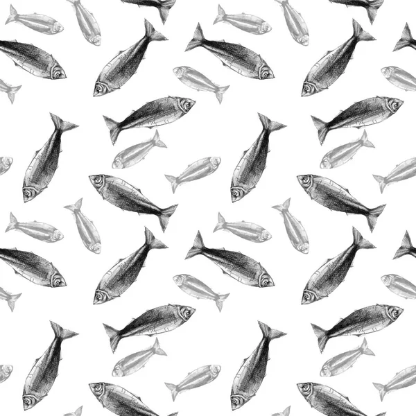 Dibujo a lápiz de un arenque de pescado, fondo, textura sin costuras sobre un fondo blanco — Archivo Imágenes Vectoriales
