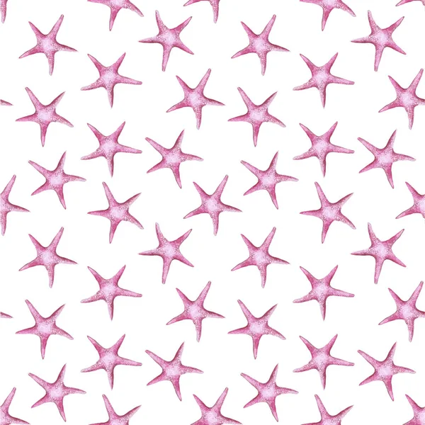 Imagen de una acuarela de color rosa clase estrella de mar invertebrados tipo equinodermos — Vector de stock