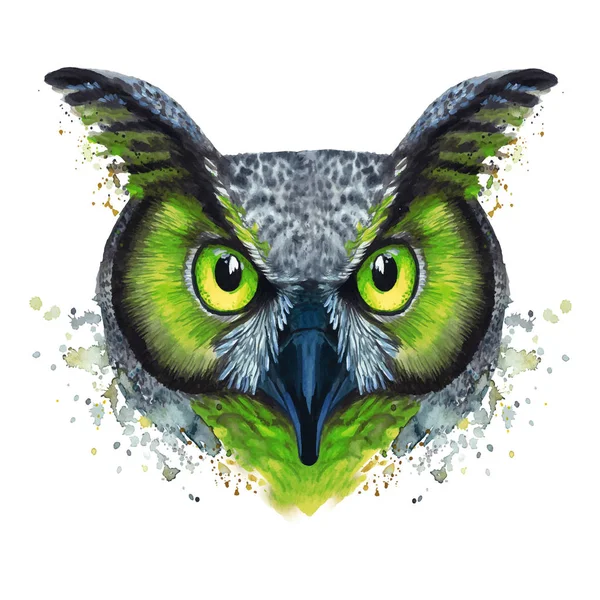 Um desenho de uma coruja noturna, pintado por aquarelas, uma coruja com uma coloração brilhante, olhos verdes —  Vetores de Stock