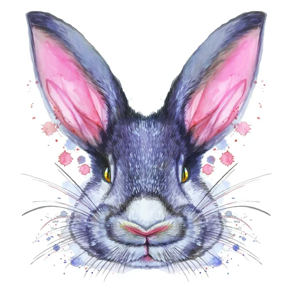 Painted drawing with watercolor portrait of an animal mammal rabbit hare in bright colors on a white background 