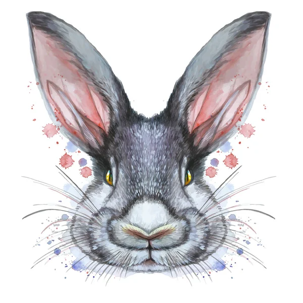 Dibujo pintado con retrato de acuarela de una liebre de conejo mamífero animal en colores de cama (colores brillantes) sobre un fondo blanco — Vector de stock