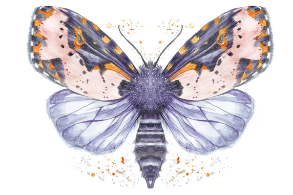 Dibujo pintado acuarela peluda mariposa oso, color brillante, cuerpo grueso, mariposa de noche sobre un fondo blanco con salpicaduras en tonos serenos, para la decoración, impresión — Vector de stock
