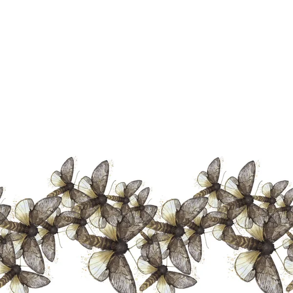 Dibujo de acuarela fondo sin costuras de mariposas lanudas, mariposa nocturna, color marrón, alas claras con manchas en el fondo blanco para la decoración, impresiones — Vector de stock