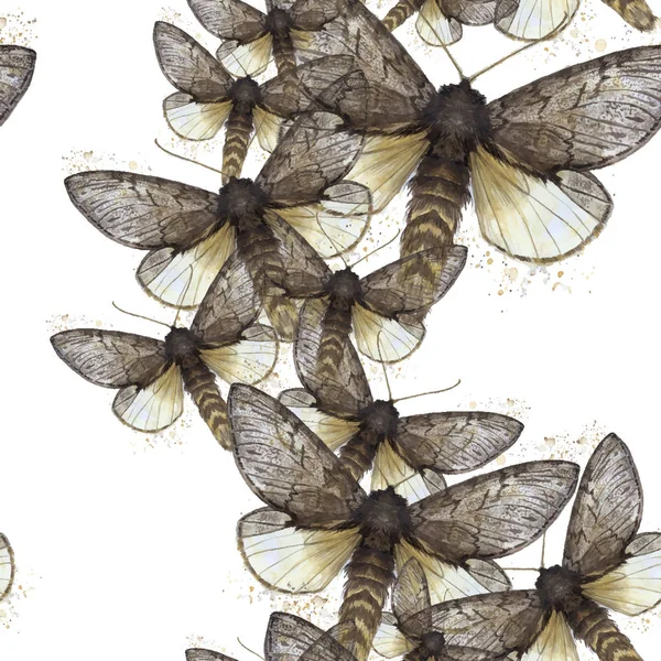 Dibujo de acuarela fondo sin costuras de mariposas lanudas, mariposa nocturna, color marrón, alas claras con manchas en el fondo blanco para la decoración, impresiones — Vector de stock