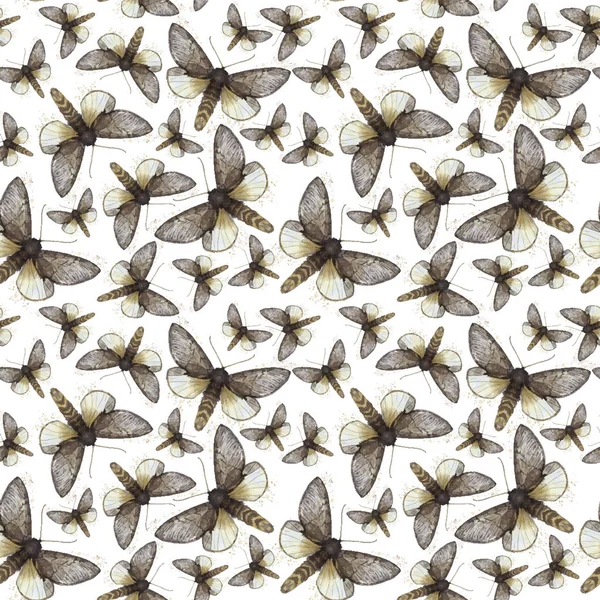 Dibujo de acuarela fondo sin costuras de mariposas lanudas, mariposa nocturna, color marrón, alas claras con manchas en el fondo blanco para la decoración, impresiones — Vector de stock