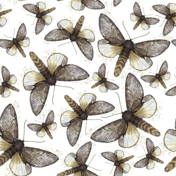 Dibujo de acuarela fondo sin costuras de mariposas lanudas, mariposa nocturna, color marrón, alas claras con manchas en el fondo blanco para la decoración, impresiones — Vector de stock