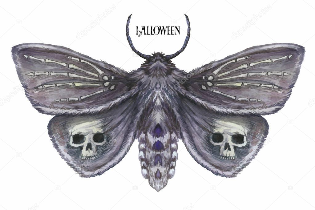 Watercolor drawing of a butterfly night butterfly, a terrible butterfly on a Halloween holiday with a skull on its wings and bones, a wrist of a skeleton, a furry butterfly on a white background
