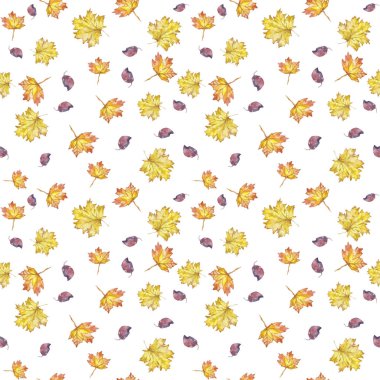 Sulu Boya desen sorunsuz arka plan akçaağaç yaprakları sarı beyaz arka plan üzerinde yaprak