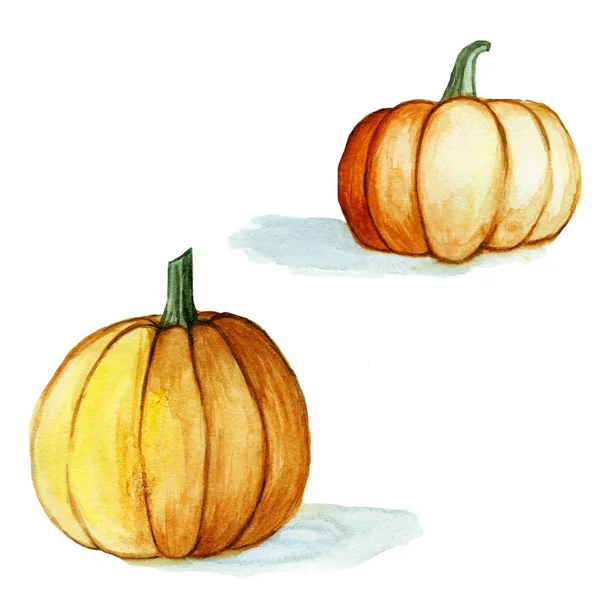 Набор для рисования акварелью, оранжевые тыквы на Хэллоуин на белом фоне, для украшения, иллюстрация — стоковое фото