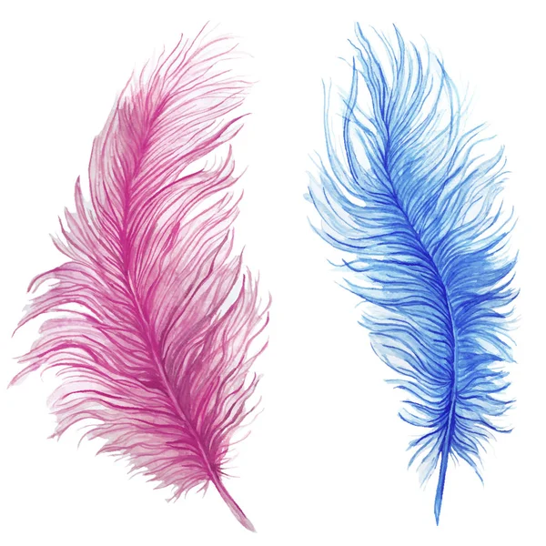 水彩画、ドローイング、羽、青い羽、ピンクの羽、複合パターン、グラフィック、装飾用の白い背景の上のダチョウの羽 — ストックベクタ