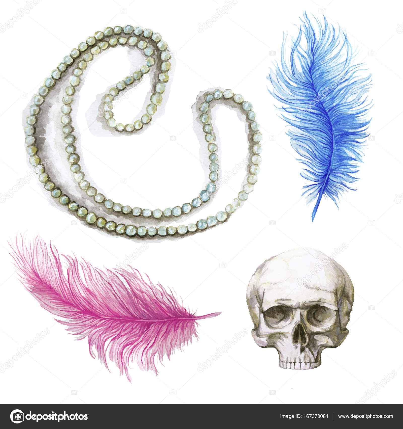 Watercolor drawing, feathers, blue feather, pink feather, human skull, for halloween, composite drawing, ostrich feathers on white background, for graphics and decor Stock Vector Image by ©Zaammari #167370084 Watercolor drawing, feathers, blue feather, pink feather, human skull, for halloween, composite drawing, ostrich feathers on white background, for graphics and decor Stock Vector Image by ©Zaammari #167370084