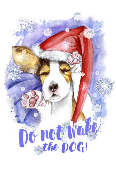 Watercolor for Christmas and new year, dog in santa claus hat, winter hat, sleeping puppy, paws, dog lies, asleep, for the design of cards or decor, New Year's print — Stock Photo, Image