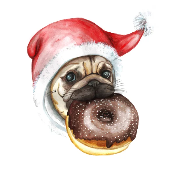 Dibujo de acuarela sobre un tema de año nuevo y un nacimiento, un perro de raza un pug en la tapa de santa en un diente sostiene una dona con una crema de chocolate con polvo sobre un fondo blanco, para una decoración y diseño —  Fotos de Stock