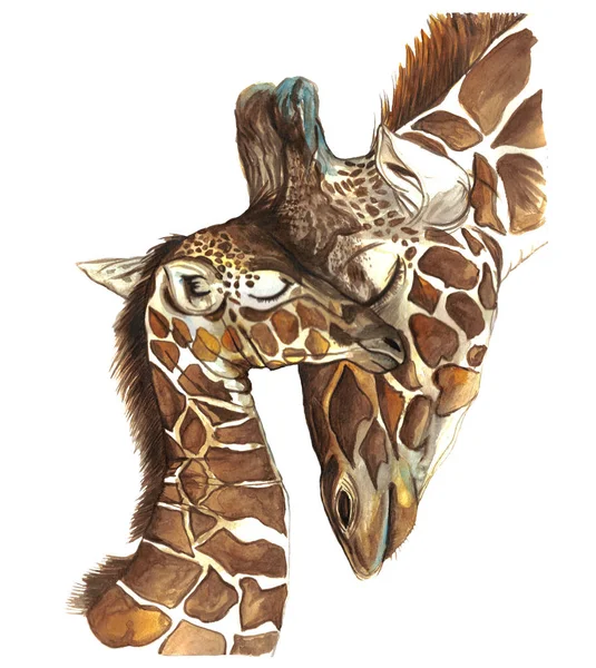 Aquarell Bild nahtlose Muster tierische Säugetiere in Afrika Giraffen leben, Mutter und Kind, weibliche Giraffe und Jungtier, Porträt von Giraffen, Fürsorge und Liebe, mütterlicher Instinkt, niedliche Zeichentrickillustration, Thema des Muttertags Urlaub, mit der Aufschrift — Stockfoto