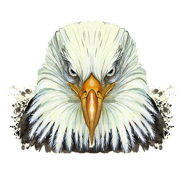 Watercolor picture of an animal genus of large birds of the hawk family, eagle, predator, portrait of an eagle, white eagle with a yellow beak, feathers, white background for decoration and embroidery — Stock Photo, Image